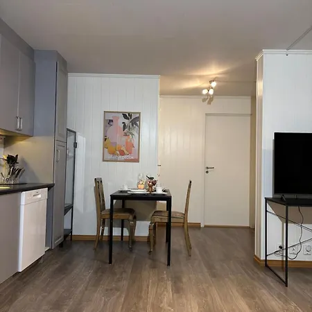 Апартаменты Moderne Med 2 Soverom For Jobb Og Ferie *