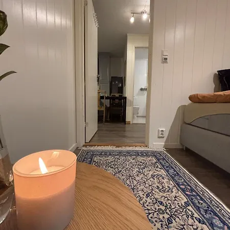 Moderne Med 2 Soverom For Jobb Og Ferie
