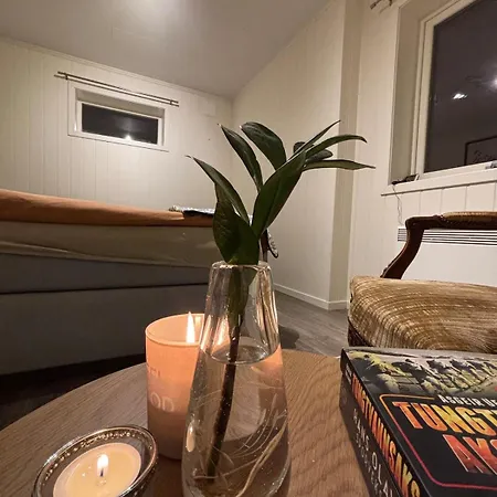 Moderne Med 2 Soverom For Jobb Og Ferie