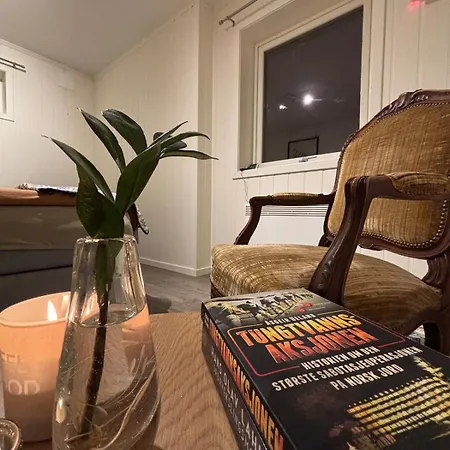 Moderne Med 2 Soverom For Jobb Og Ferie